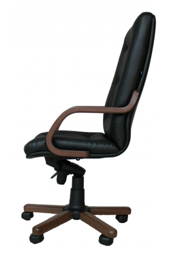 Компьютерное кресло для дома SENATOR EXTRA